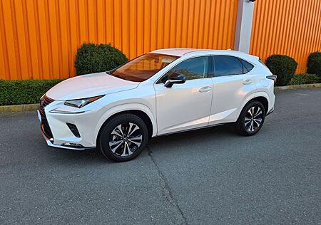 Lexus NX 300h Style Edition .Top Zustand