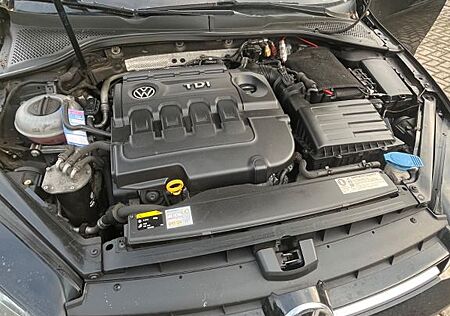 VW Golf Volkswagen 1.6 TDI DSG BMT CUP Variant CUP