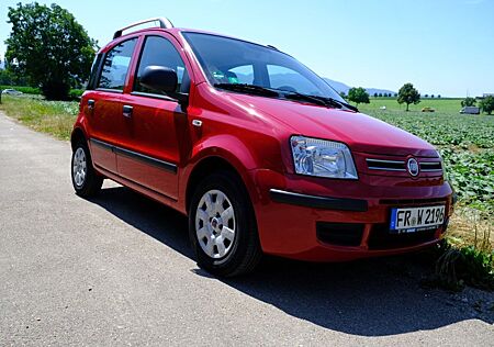 Fiat Panda rot 1.2 8-fach bereift