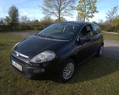 Fiat Punto Evo 1.2 8V Active TÜV bis 5/27