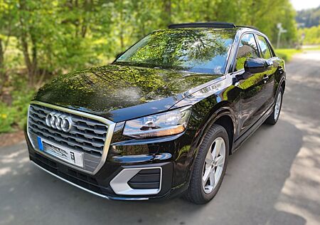 Audi Q2 30 TFSI Sport 2.Hd Pano 8-fach gepflegt