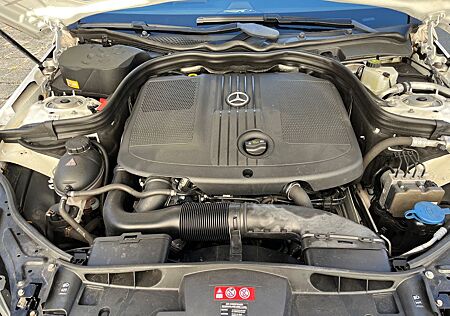 Mercedes-Benz E 220 BlueTEC BE T Edition AVANTG. Auto. Edi...