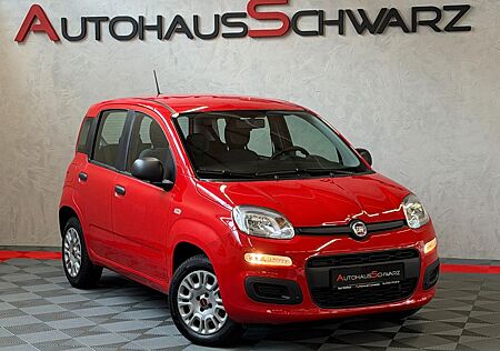 Fiat Panda Easy Klima 8Fach ZV PDC 1.Hand Insp.Neu