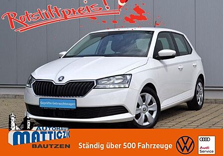 Skoda Fabia 1.0 TSI 95 PS Ambition NAVI/SOUND-PAKET/GR