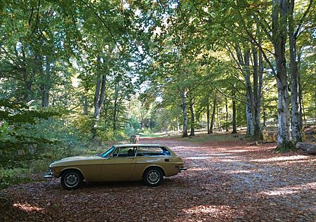Volvo P 1800 ES