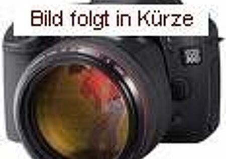 VW T6 Transporter Volkswagen T6.1 Kasten 2.0 TDI DSG LED Sideassist ACC