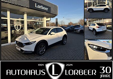 Mazda CX-30 M-HYBRID 122PS 2.0L SELECTION DES-P NAVI