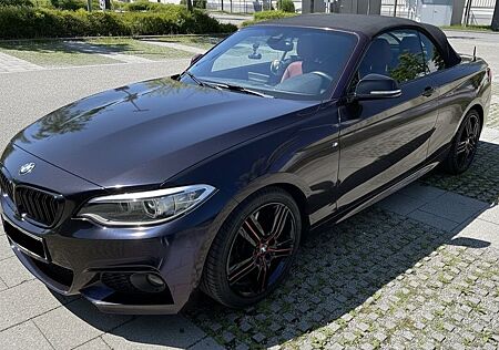 BMW 228i Cabrio M Sport M Sport - Top Gepflegt