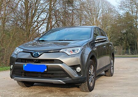 Toyota RAV 4 2,5-l-Hybrid Executive Auto 4x4 Executive