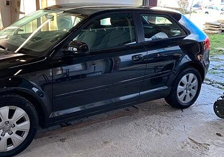 Audi A3 1.6 TDI (DPF) 77kW Ambiente Ambiente