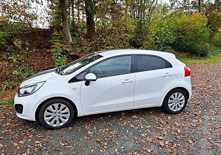 Kia Rio 1.4 Spirit, Klima, getönt, WR, gepflegt, NR