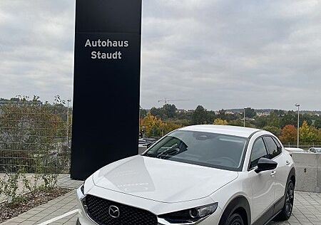 Mazda CX-30 2.5L e-SKYACTIV G 140ps 2.5L 140ps 6