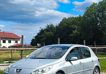 Peugeot 307 1.6 16V Grand Filou Cool 110 PS VB