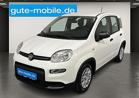 Fiat Panda Pandina 1.0 Hybrid | Digitaler Tacho | PDC