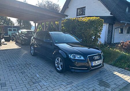 Audi A3 gebraucht kaufen Audi A3 1.6 TDI Ambition Sportback Ambition