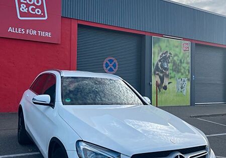 Mercedes-Benz GLC 250 GLC 250d 4Matic AMG Line *Burmester Sound*