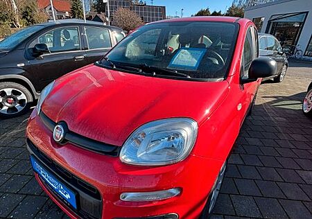 Fiat New Panda 1.2 8V EASY