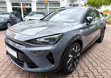Cupra Formentor VZ 2.0 TSI 245 kW 4Drive, AHK, NAVI