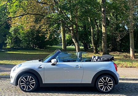 Mini Cooper Cabrio gebraucht kaufen Mini Cooper Cabrio Cooper