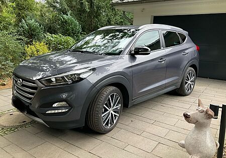 Hyundai Tucson gebraucht kaufen Hyundai Tucson 1.6 T-GDI, Passion, AHK. 8-fach bereift