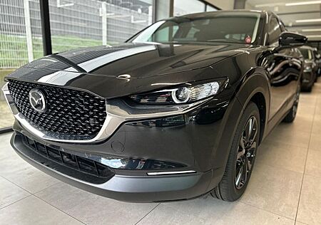 Mazda CX-30 gebraucht kaufen Mazda CX-30 Homura 140 PS *Kamera*Navi*LED*NEU*