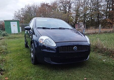Fiat Grande Punto gebraucht kaufen Fiat Grande Punto 1.2 8V Dynamic Dynamic