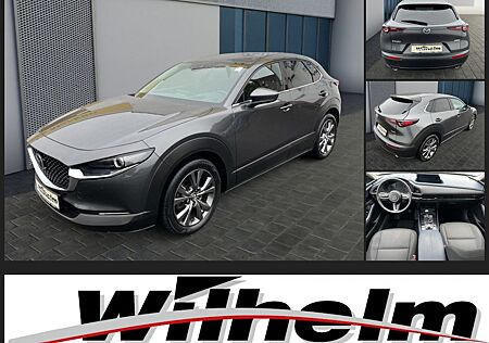Mazda CX-30 " Selektion"180 PS |Bose-Sound|Matrix-LED|3
