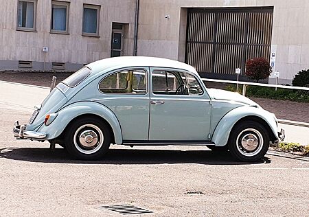 VW Käfer Volkswagen 1300, Bj. 6/1966, guter Zustand