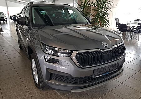 Skoda Kodiaq DSG TDI 4X4 TOUR 8-fach-bereift Navi Sitz