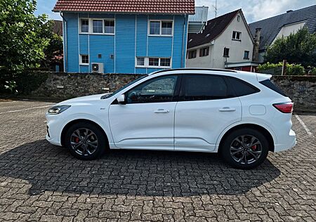 Ford Kuga 2.0 EcoBlue Hybrid ST-Line ST-Line