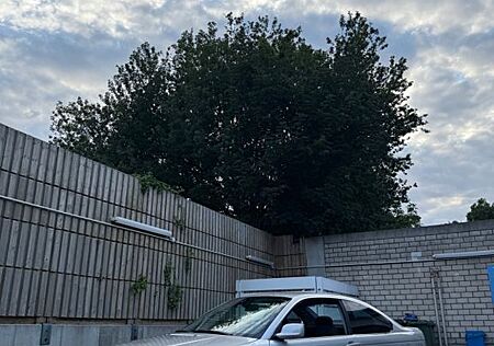 BMW 323i Coupe