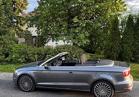 Audi A3 2.0 TDI Ambition Cabriolet Bi-Xenon