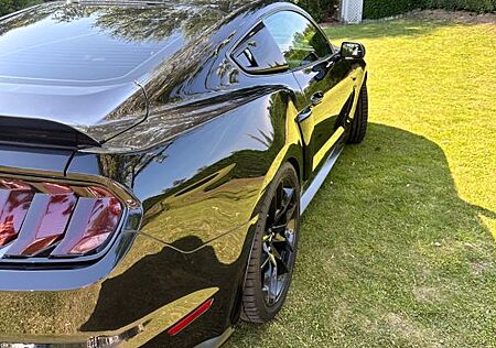 Ford Mustang GT V8 -, Lack neu, Top gepflegt