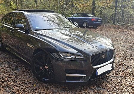 Jaguar XF 30d 300PS R-Sport Automatik R-Sport + LED