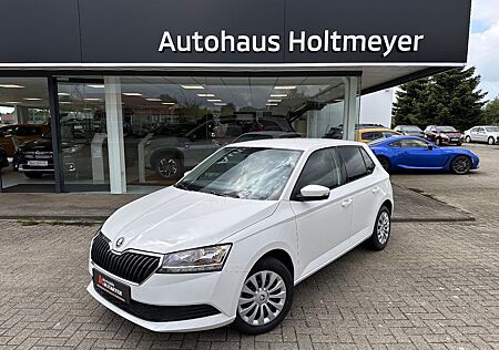 Skoda Fabia Cool Plus *Klima+4Season+1.Hand*