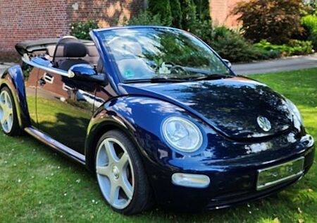 VW Beetle Volkswagen