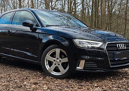 Audi A3 1.6 TDI gepflegt, LED, Navi, PDC