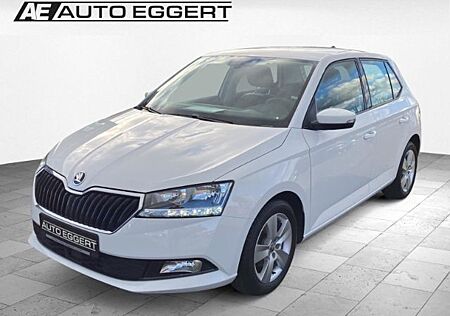 Skoda Fabia 1.0 Ambition SHZ DAB PDC Apple CarPlay And