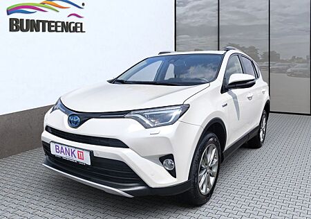 Toyota RAV 4 2,5-I-Hybrid Team Deutschland Kamera