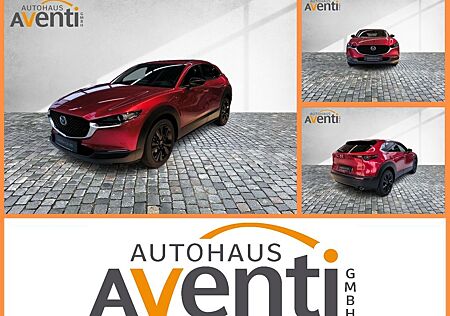 Mazda CX-30 SHZ*RFK*ACC*NAVI*KLIMA*