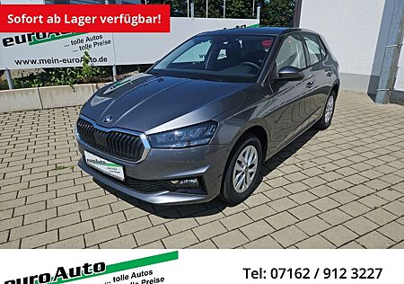 Skoda Fabia Selection 1.0 TSi AHK Kamera 5 Jahre Garan