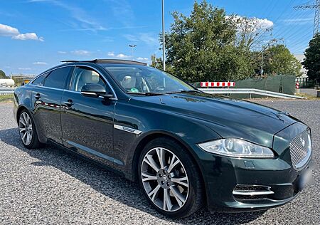 Jaguar XJ Luxury 3.0 V6 Diesel Luxury