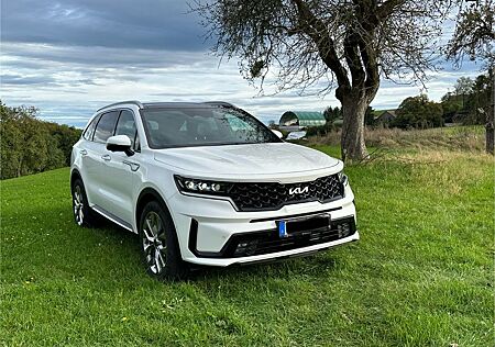 Kia Sorento 2.2 CRDi AWD Platinum DCT8 Platinum