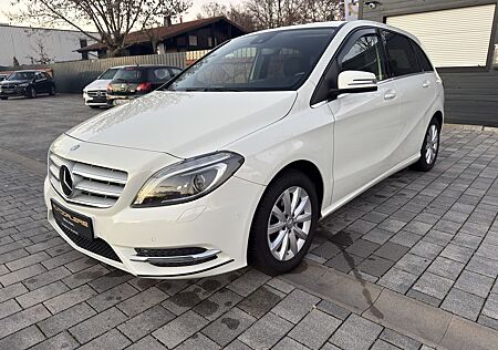 Mercedes-Benz B 220 4Matic LED | STANDHZG | LEDER | KAM