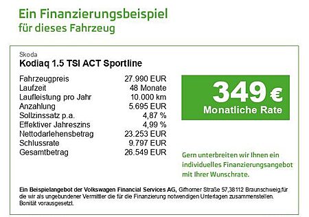 Skoda Kodiaq Business-Paket Columbus, Einparkhilfe