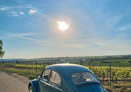 VW Käfer Volkswagen 1963