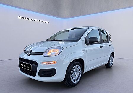 Fiat Panda ICON 1.0 Mild Hybrid Radio PDC hinten Musi