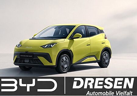 BYD DOLPHIN SURF Active I Navi I ISOFIX I Rückfahrka