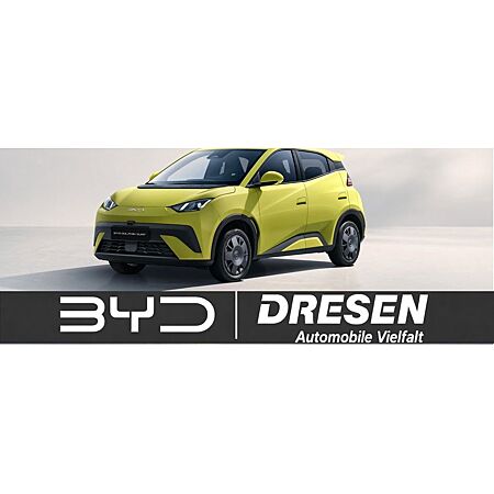 BYD Dolphin leasen
