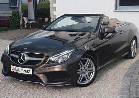 Mercedes-Benz E 450 E 500 CGI V8~VOLL!~Sitzluft~360~ACC~Totwinkel~